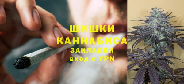 прущие грибы Надым