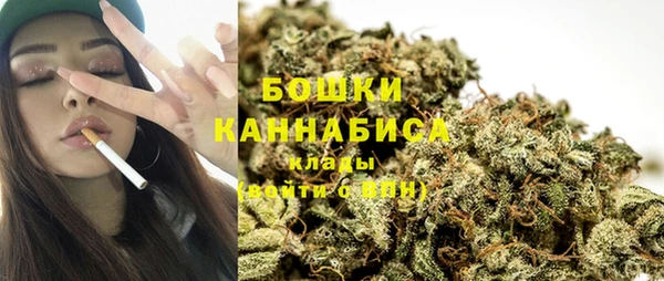 прущие грибы Надым