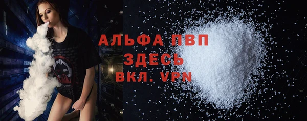 прущие грибы Надым