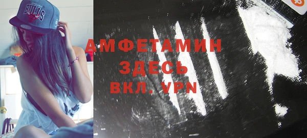 прущие грибы Надым